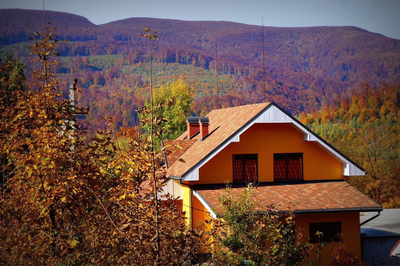 Пори Року Casa de hóspedes Sinyak  Exterior foto